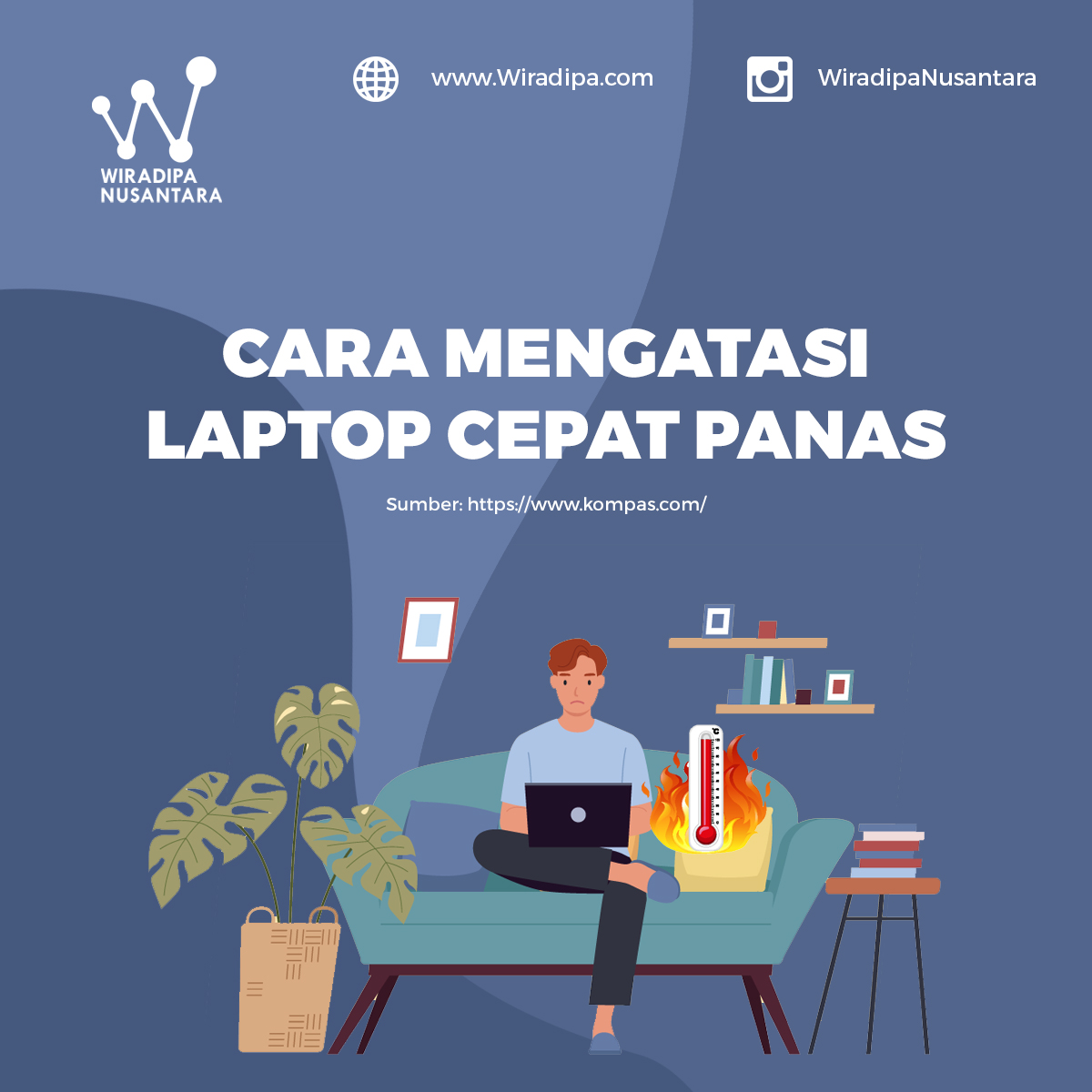 Article images