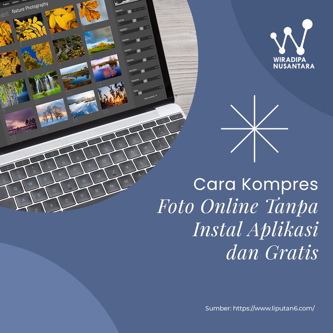 Article images